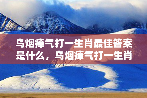 乌烟瘴气打一生肖最佳答案是什么，乌烟瘴气打一生肖—揭秘生肖中的神秘氛围