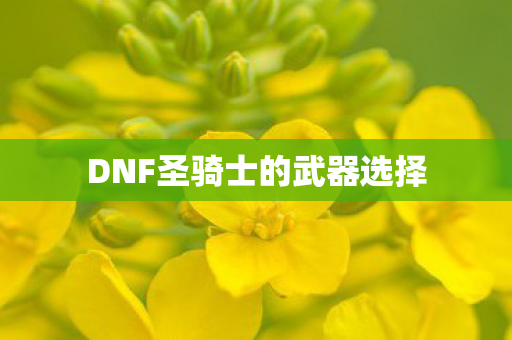 DNF圣骑士的武器选择 DNF圣骑士的武器选择