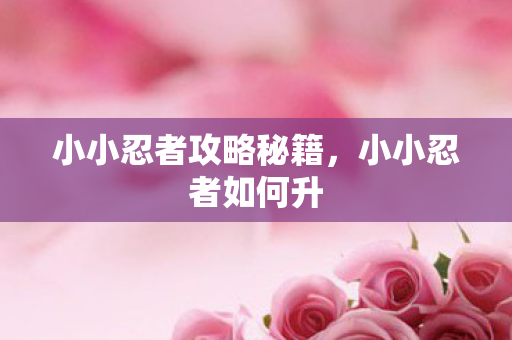 小小忍者攻略秘籍，小小忍者如何升