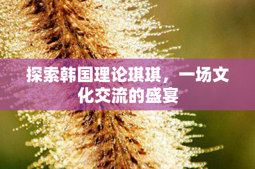 探索韩国理论琪琪，一场文化交流的盛宴