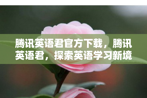 腾讯英语君官方下载，腾讯英语君，探索英语学习新境界