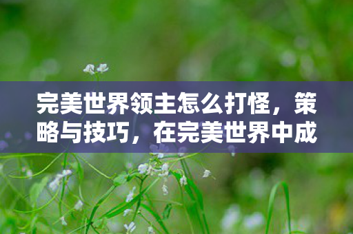完美世界领主怎么打怪，策略与技巧，在完美世界中成为领主