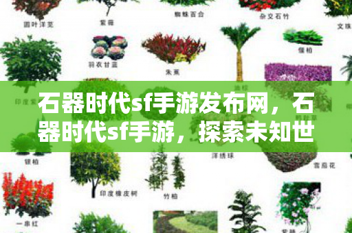 石器时代sf手游发布网，石器时代sf手游，探索未知世界的奇妙之旅