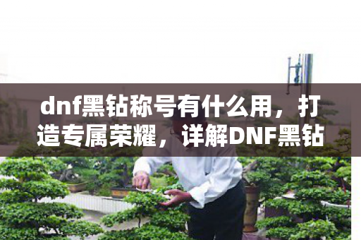 dnf黑钻称号有什么用，打造专属荣耀，详解DNF黑钻称号的无限可能
