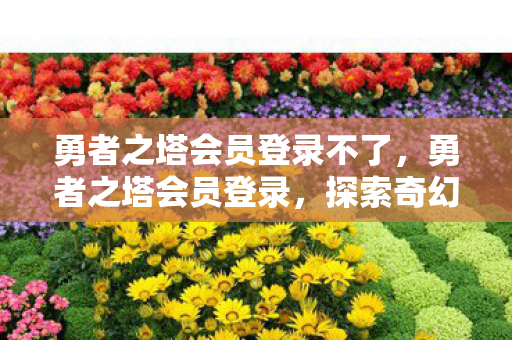 勇者之塔会员登录不了，勇者之塔会员登录，探索奇幻世界的专属之旅