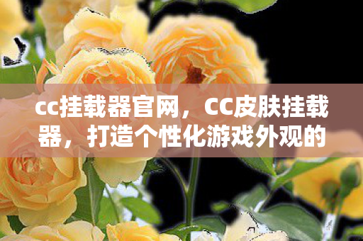 cc挂载器官网，CC皮肤挂载器，打造个性化游戏外观的新选择