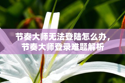 节奏大师无法登陆怎么办，节奏大师登录难题解析