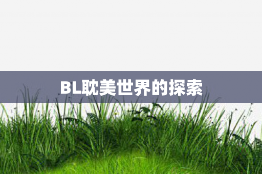 BL耽美世界的探索