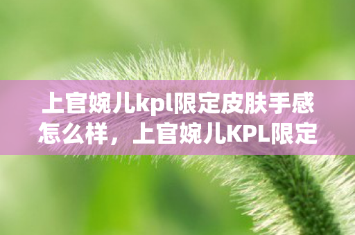 上官婉儿kpl限定皮肤手感怎么样，上官婉儿KPL限定皮肤，荣耀与梦想的碰撞