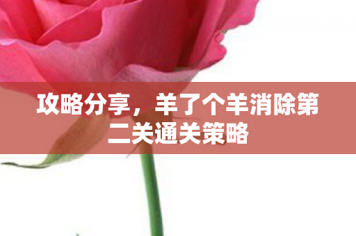 攻略分享，羊了个羊消除第二关通关策略