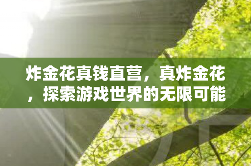 炸金花真钱直营，真炸金花，探索游戏世界的无限可能