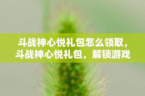 斗战神心悦礼包怎么领取，斗战神心悦礼包，解锁游戏新世界的钥匙