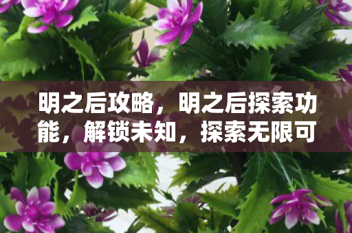 明之后攻略，明之后探索功能，解锁未知，探索无限可能
