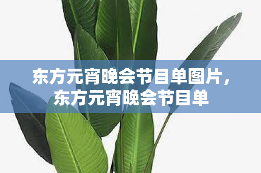 东方元宵晚会节目单图片，东方元宵晚会节目单