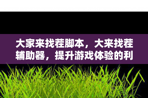 大家来找茬脚本，大来找茬辅助器，提升游戏体验的利器