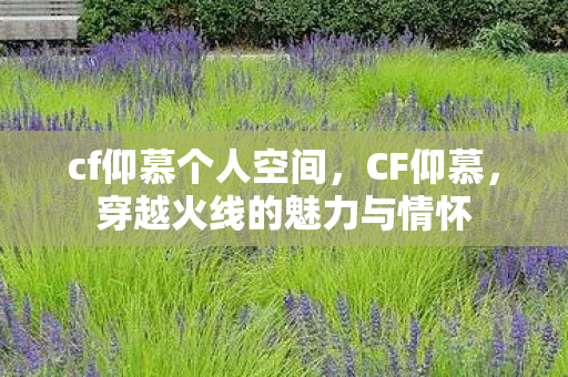 cf仰慕个人空间，CF仰慕，穿越火线的魅力与情怀