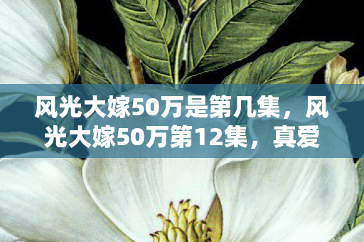 风光大嫁50万是第几集，风光大嫁50万第12集，真爱无价，婚礼背后的深意