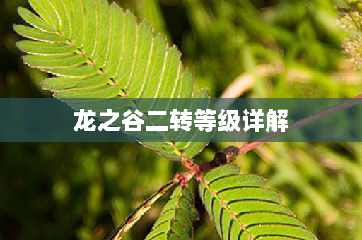 龙之谷二转等级详解