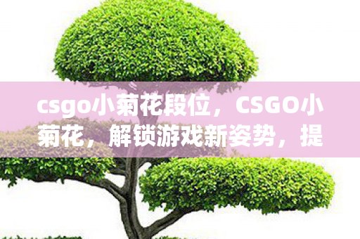 csgo小菊花段位，CSGO小菊花，解锁游戏新姿势，提升你的游戏体验