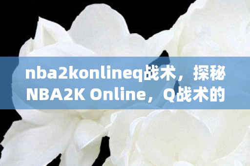 nba2konlineq战术，探秘NBA2K Online，Q战术的奥秘与实战应用