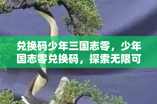兑换码少年三国志零，少年国志零兑换码，探索无限可能的奇幻之旅
