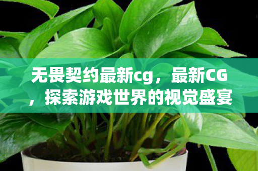 无畏契约最新cg，最新CG，探索游戏世界的视觉盛宴