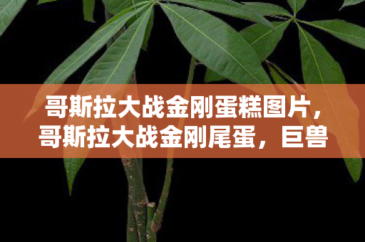哥斯拉大战金刚蛋糕图片，哥斯拉大战金刚尾蛋，巨兽之战的终极悬念