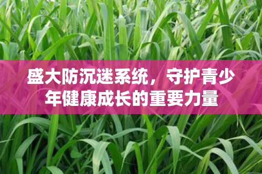 盛大防沉迷系统，守护青少年健康成长的重要力量