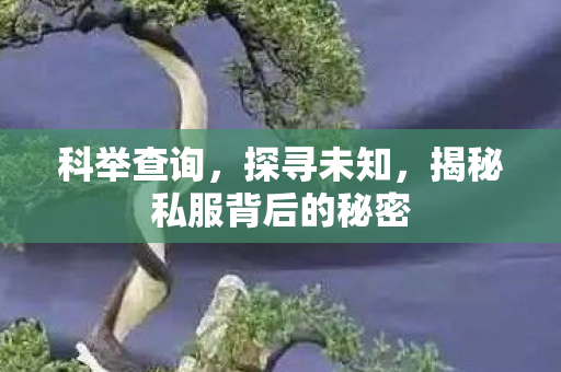 科举查询，探寻未知，揭秘私服背后的秘密
