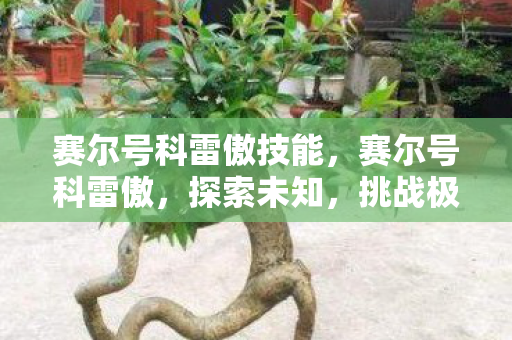 赛尔号科雷傲技能，赛尔号科雷傲，探索未知，挑战极限