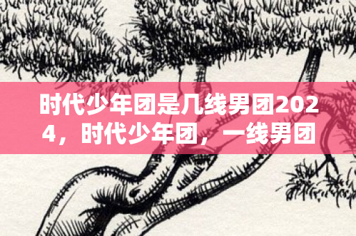 时代少年团是几线男团2024，时代少年团，一线男团的崛起之路