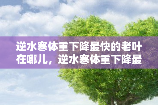 逆水寒体重下降最快的老叶在哪儿，逆水寒体重下降最快的老叶，游戏与生活的双重挑战