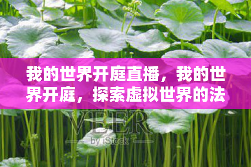 我的世界开庭直播，我的世界开庭，探索虚拟世界的法律边界