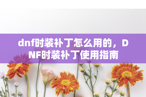 dnf时装补丁怎么用的，DNF时装补丁使用指南