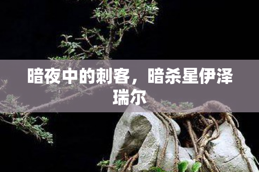 暗夜中的刺客，暗杀星伊泽瑞尔