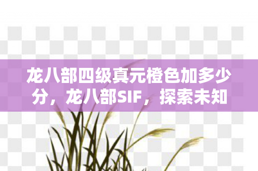 龙八部四级真元橙色加多少分，龙八部SIF，探索未知世界的奇幻之旅