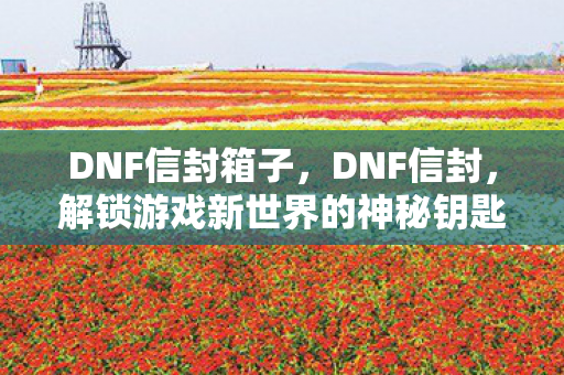 DNF信封箱子，DNF信封，解锁游戏新世界的神秘钥匙