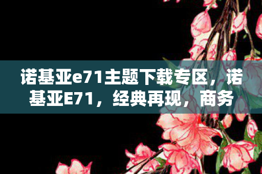 诺基亚e71主题下载专区，诺基亚E71，经典再现，商务与时尚的完美融合