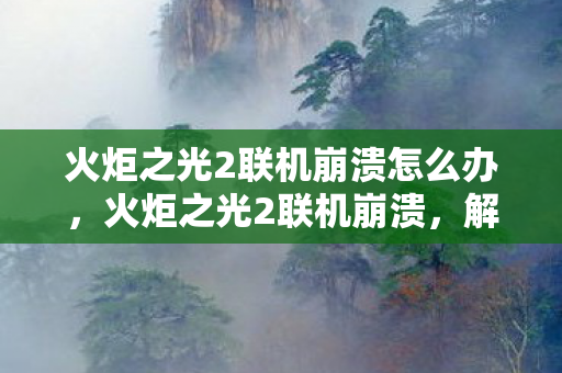 火炬之光2联机崩溃怎么办，火炬之光2联机崩溃，解决之道与游戏体验优化
