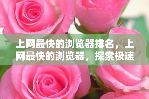 上网最快的浏览器排名，上网最快的浏览器，探索极速上网的新境界
