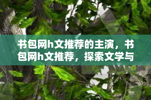 书包网h文推荐的主演，书包网h文推荐，探索文学与幻想的奇妙交汇