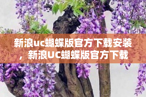 新浪uc蝴蝶版官方下载安装，新浪UC蝴蝶版官方下载，体验经典社交新篇章