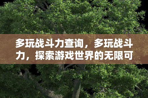 多玩战斗力查询，多玩战斗力，探索游戏世界的无限可能