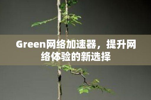 Green网络加速器，提升网络体验的新选择