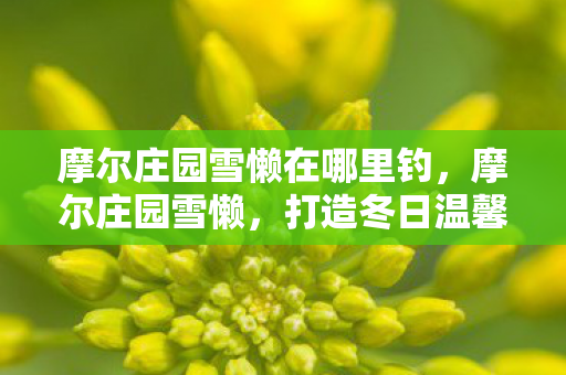 摩尔庄园雪懒在哪里钓，摩尔庄园雪懒，打造冬日温馨庄园的秘诀
