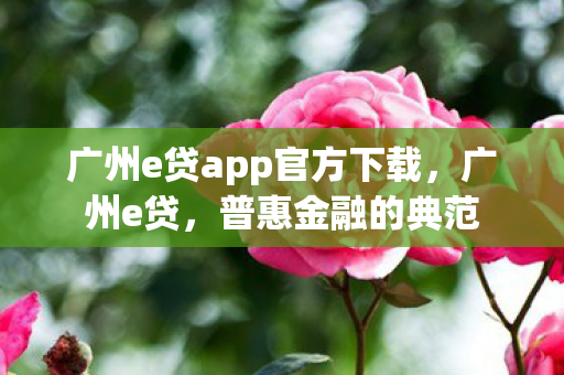 广州e贷app官方下载，广州e贷，普惠金融的典范
