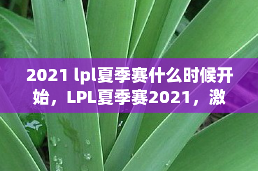 2021 lpl夏季赛什么时候开始，LPL夏季赛2021，激情与荣耀的启程