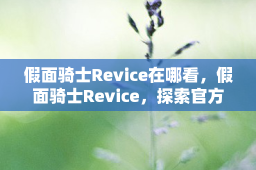假面骑士Revice在哪看，假面骑士Revice，探索官方渠道与观看体验