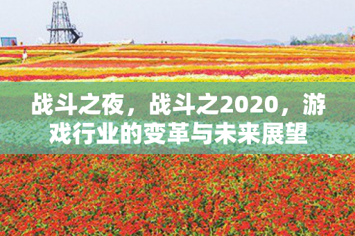 战斗之夜，战斗之2020，游戏行业的变革与未来展望
