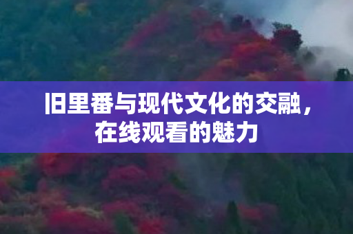 旧里番与现代文化的交融，在线观看的魅力